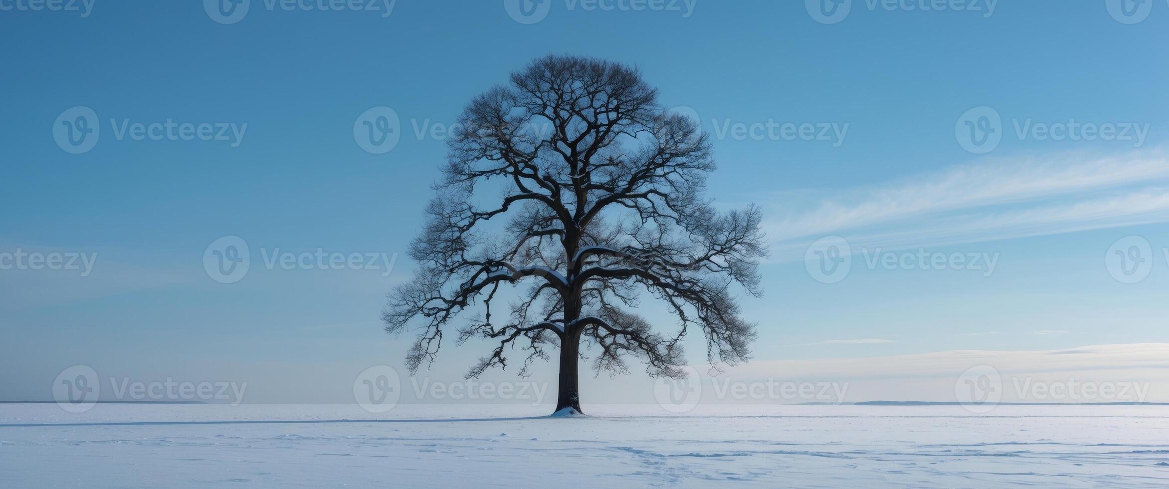 Lone tree standing in a snowy landscape during winter season with clear blue sky. photo