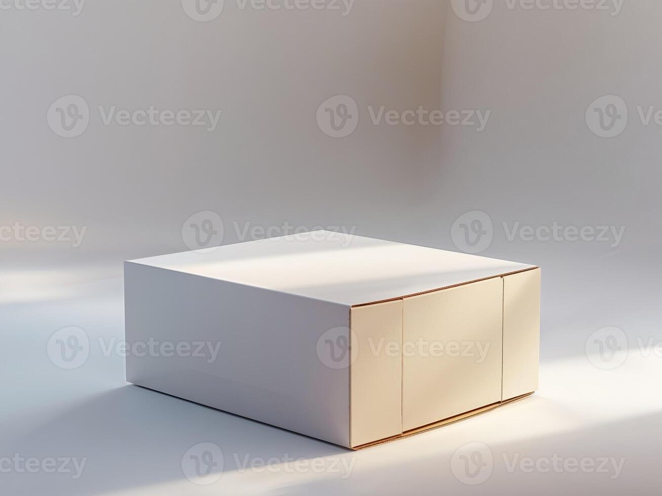 rectangular cardboard box mockup with matte finish centered on clean white surface with soft diffused light and wide photo