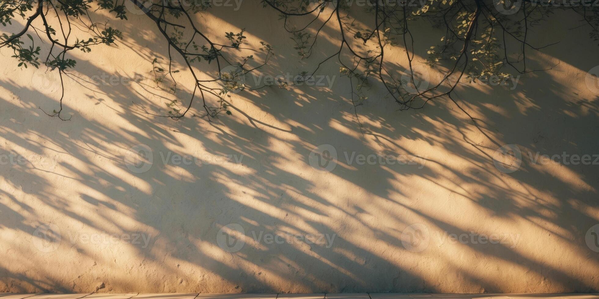 A wall with shadows cast by trees photo