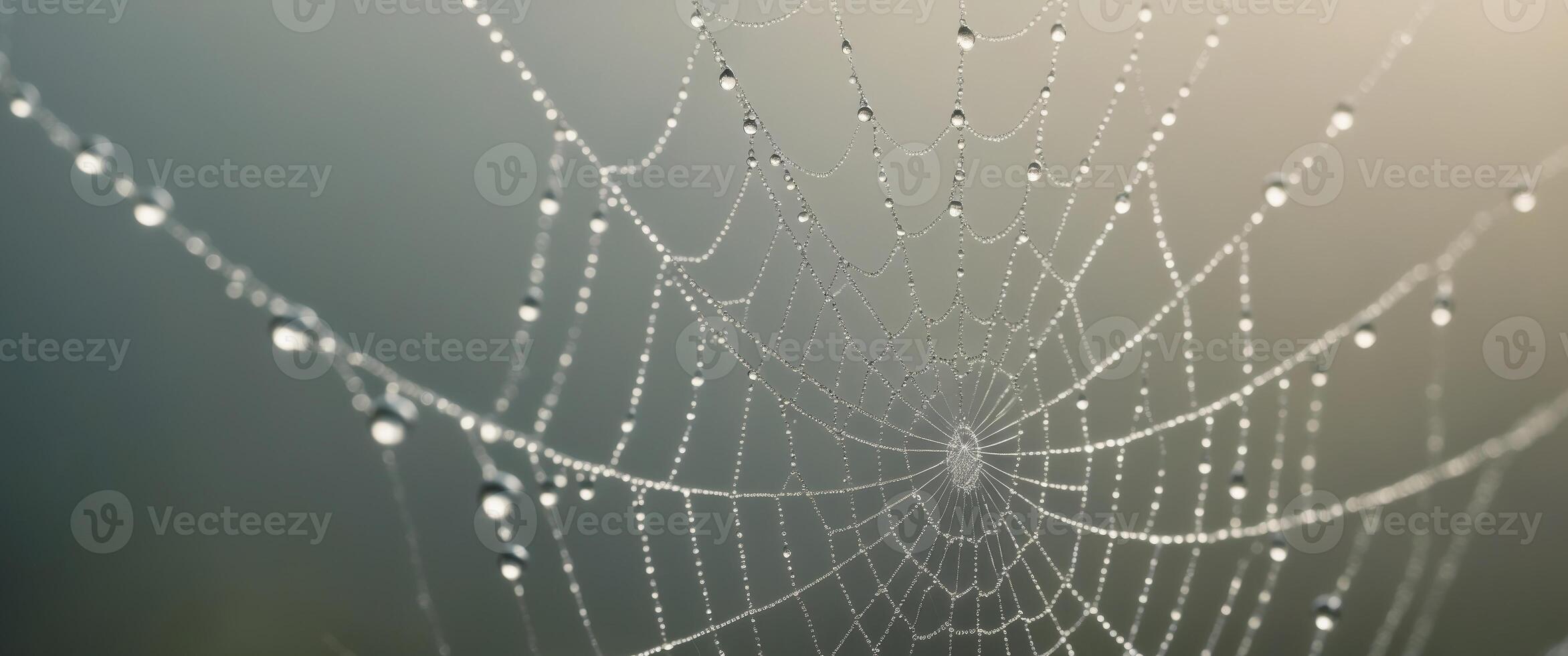 Dew drops glisten on delicate spider web threads in a halftone texture photo