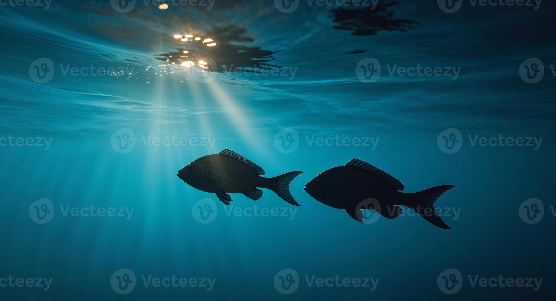 Two Dark Silhouettes of Fish Swimming in a Deep Blue Ocean with Light Rays photo