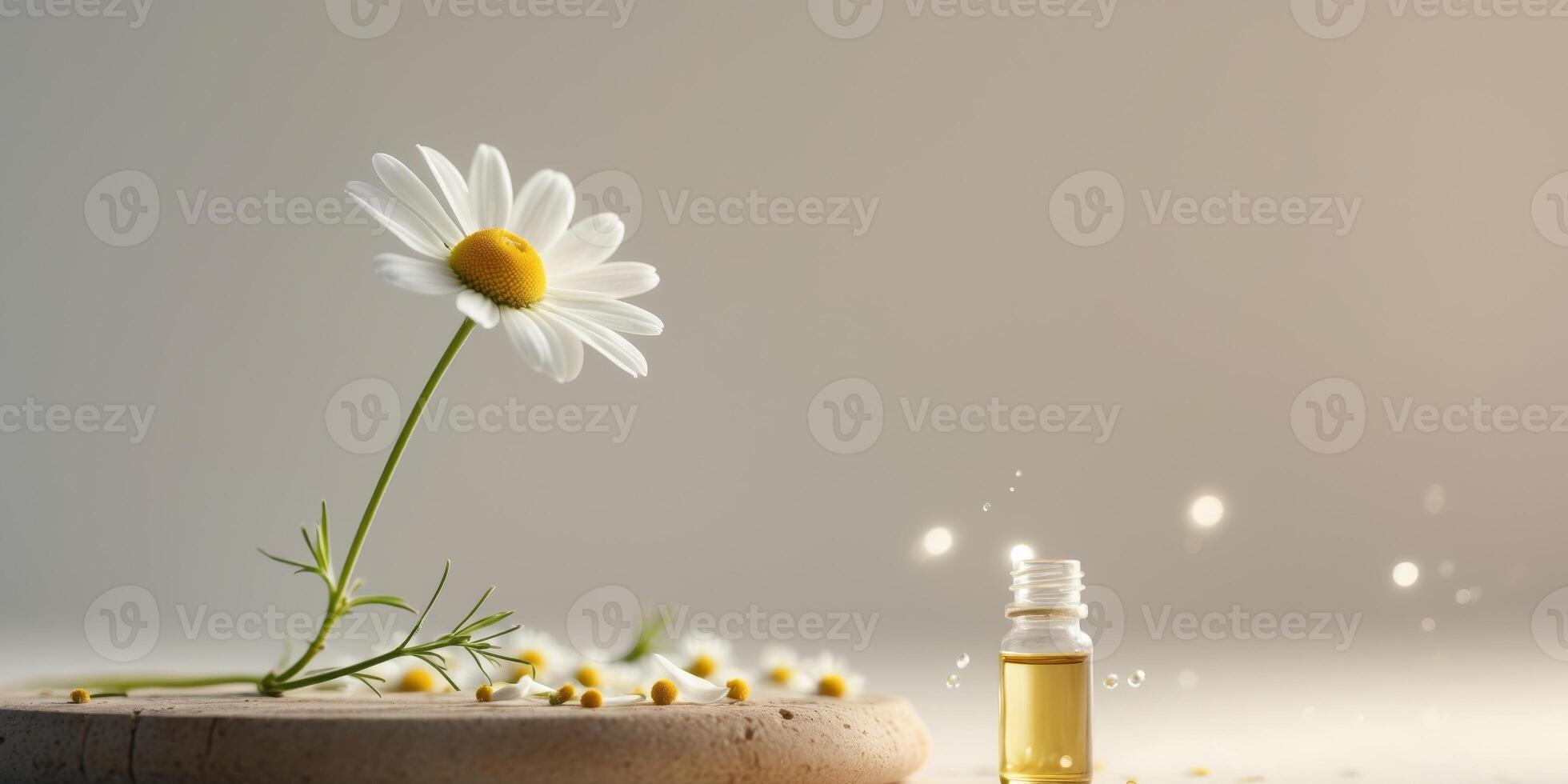 The healing power of chamomile essential oil. photo
