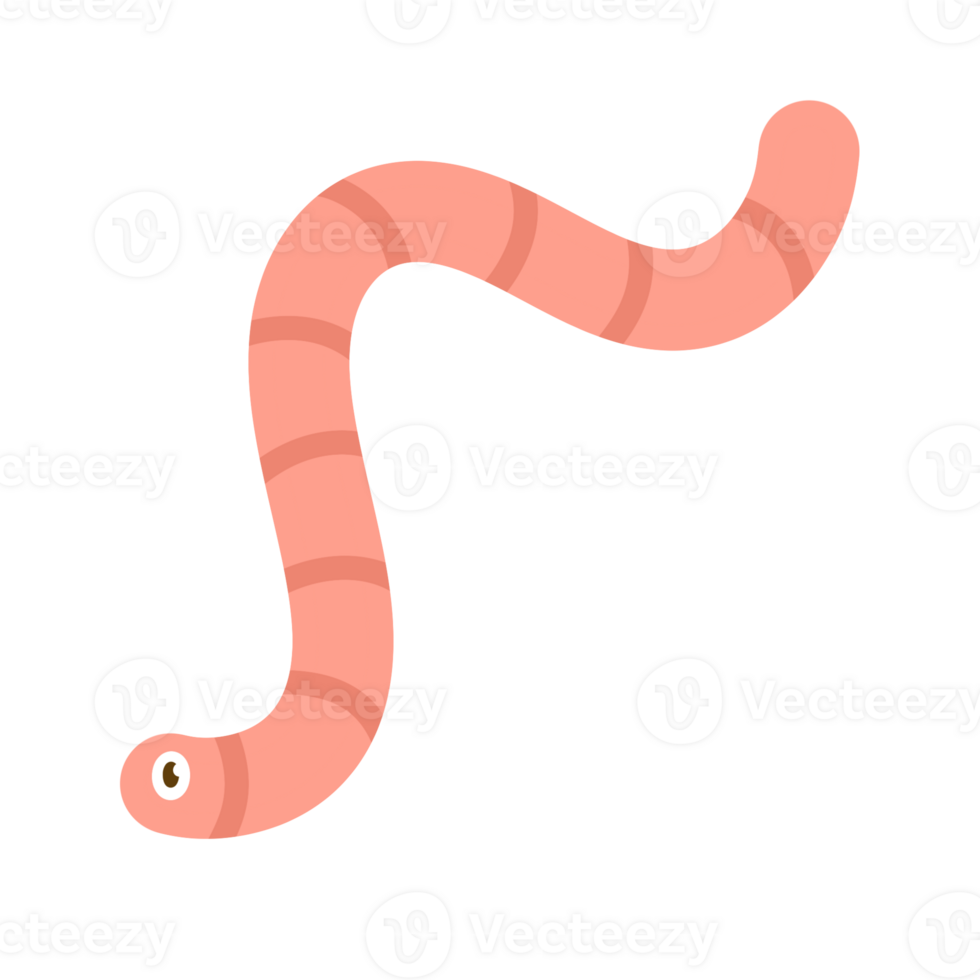 Cartoon illustration of a worm with a simple and modern design and cheerful colors. png