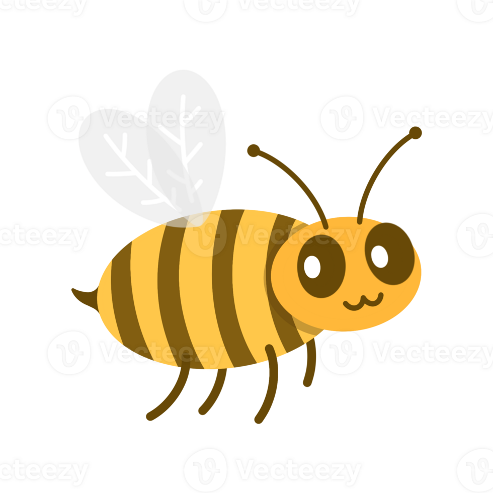 Cartoon illustration of honey bee with cute and modern design isolated on transparent background png