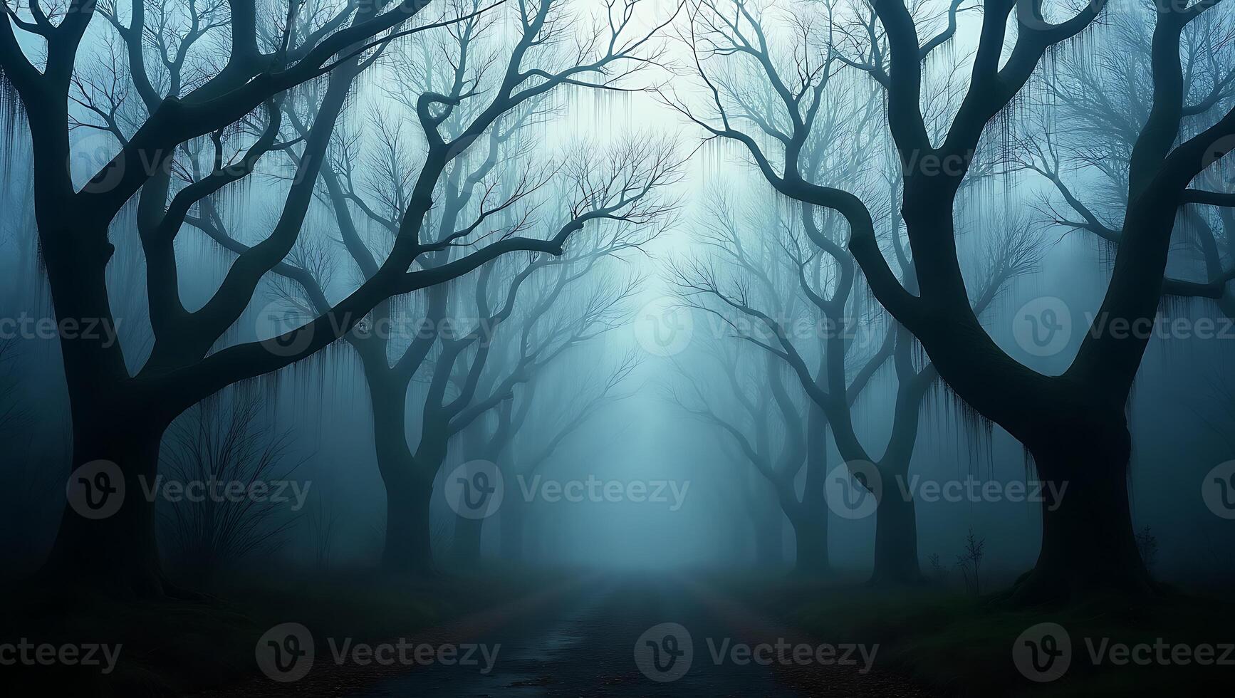 Misty path lined with bare trees on a foggy day in a secluded forest photo