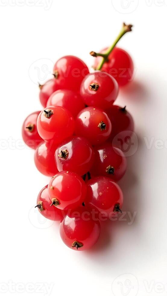 Closeup of fresh red currants with droplets of water on a pure white surface photo