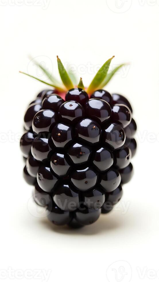 Closeup of a blackberry showcasing rich texture and deep color against light backdrop photo