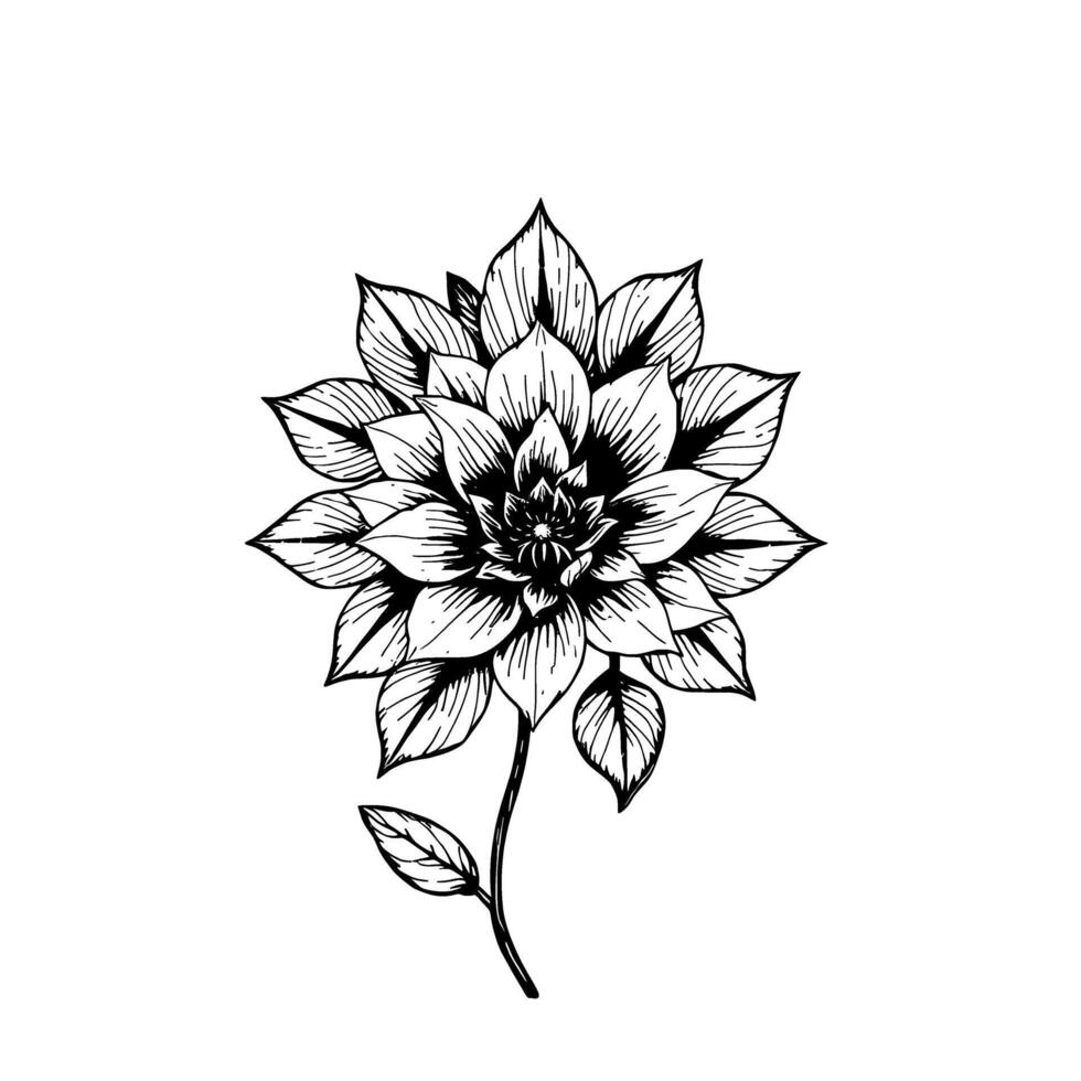 絵画　Dahlia Japanese Print 