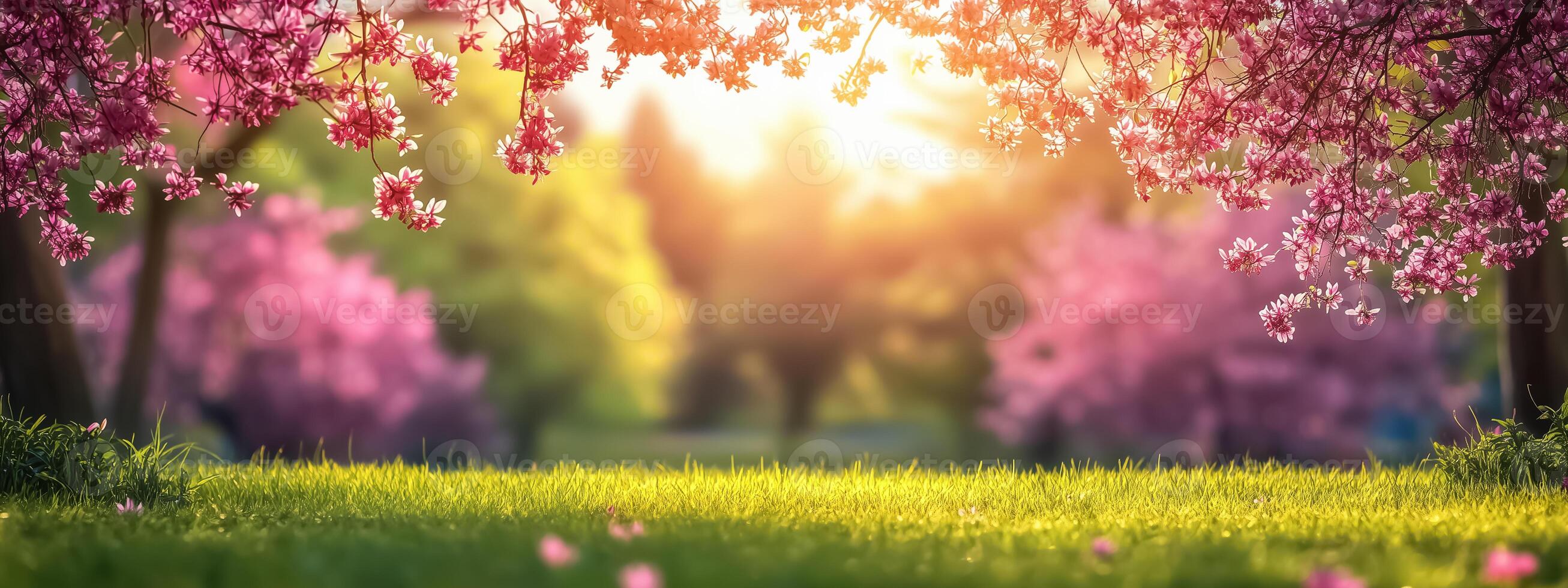 A beautiful spring day with pink flowers photo