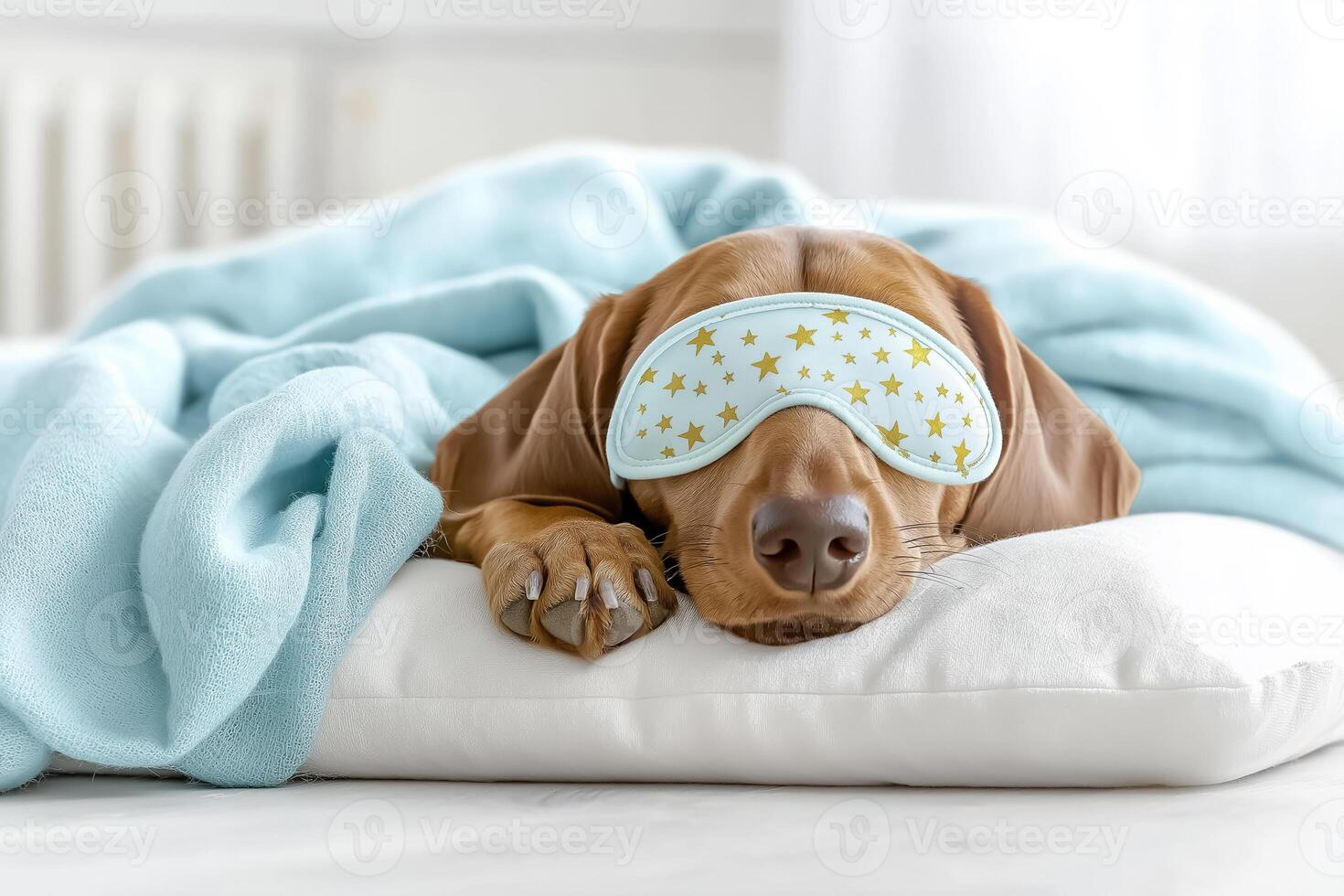 A dog wearing a blue eye mask laying on a pillow photo