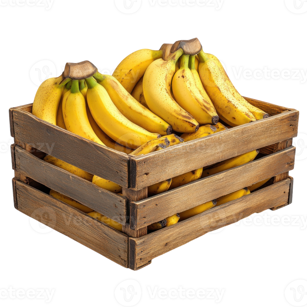 Freshly Harvested Bananas in a Rustic Wooden Crate Arrangement, on the transparent Background. Format png