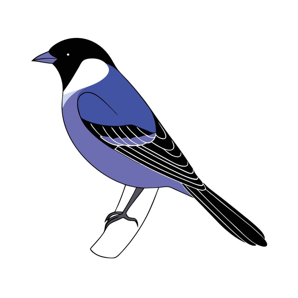 illustration of a blue tit bird perched on a branch vector