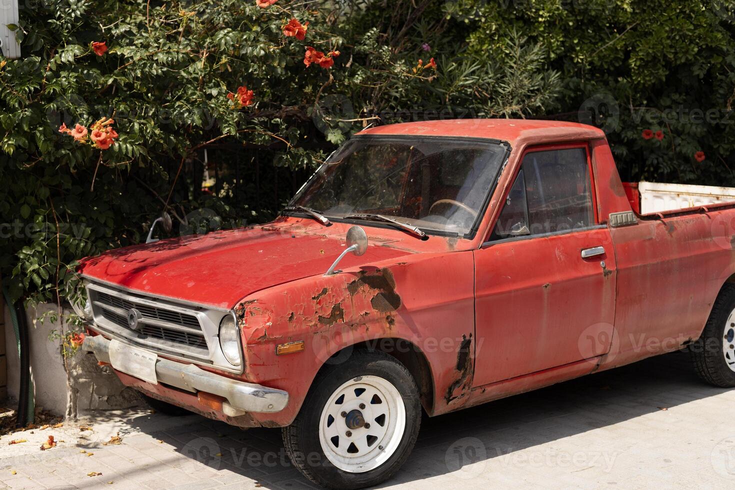 red old car under blooming tree, rust and corrosion of car metal photo
