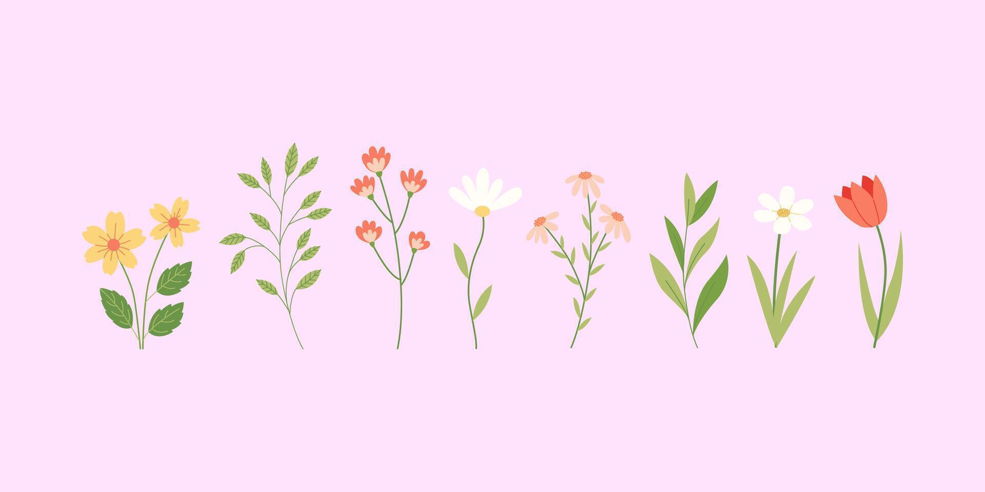 Spring wildflowers and branches isolated on pink background. Hand drawn illustration vector