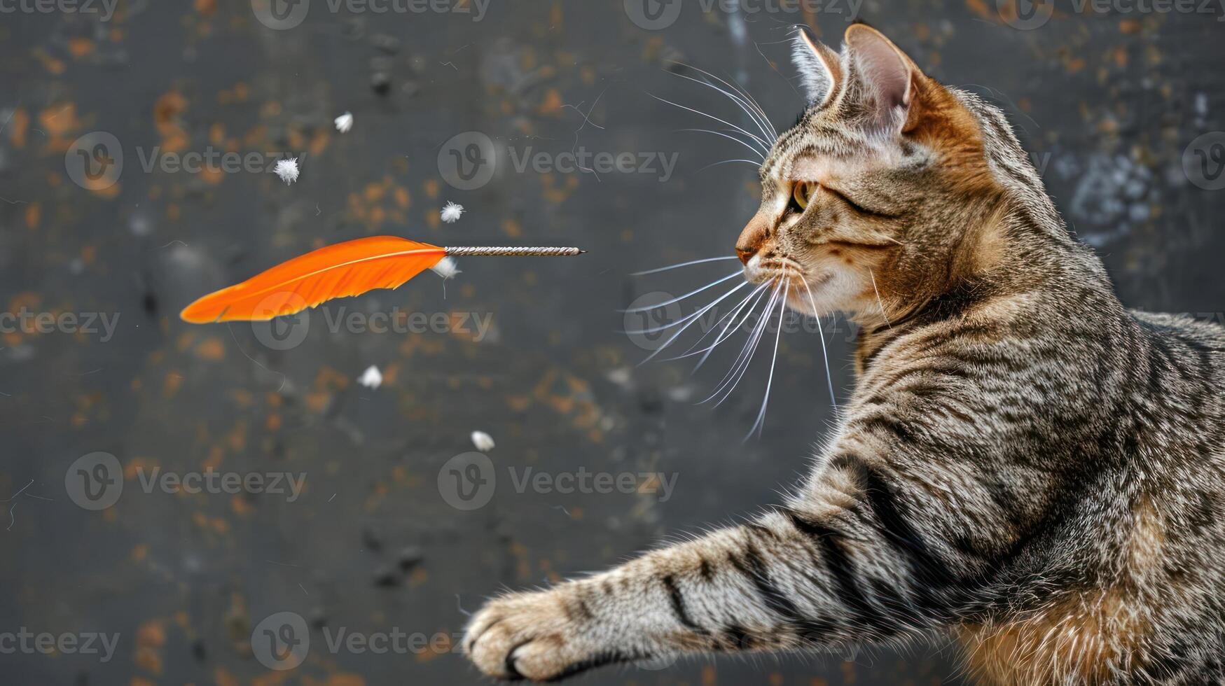 A playful cat reaching for an orange feather against a textured background. photo