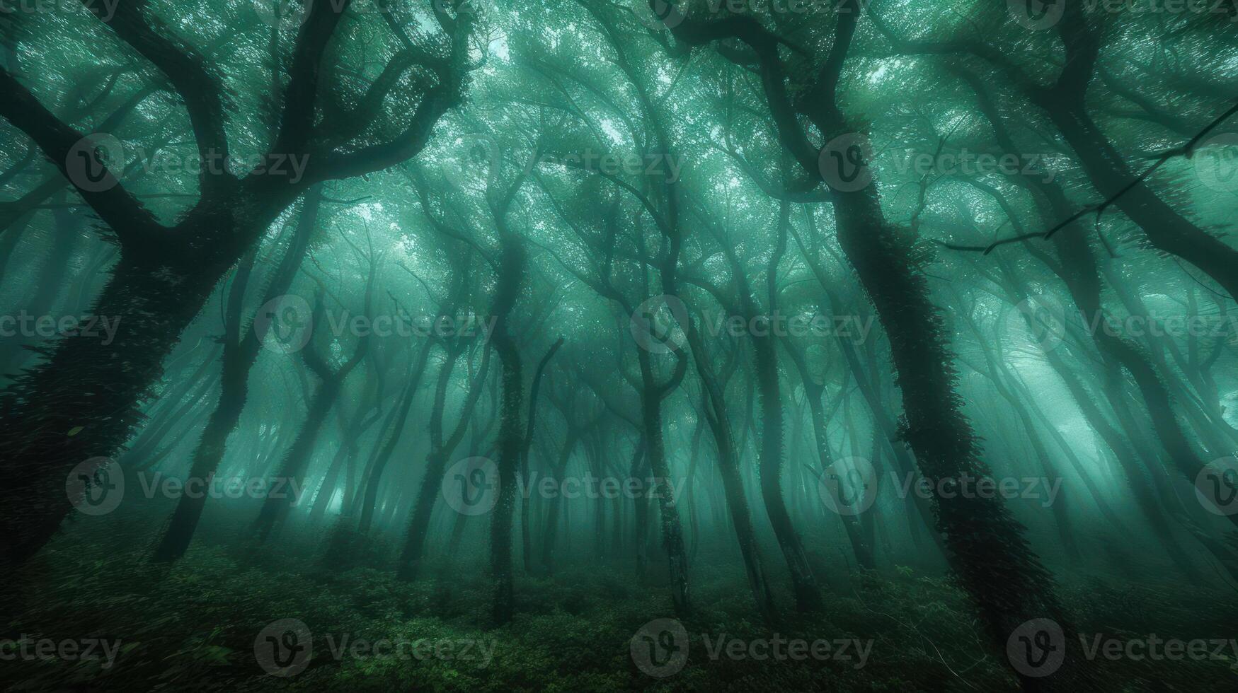 A misty forest scene with tall, twisted trees creating an ethereal atmosphere. photo