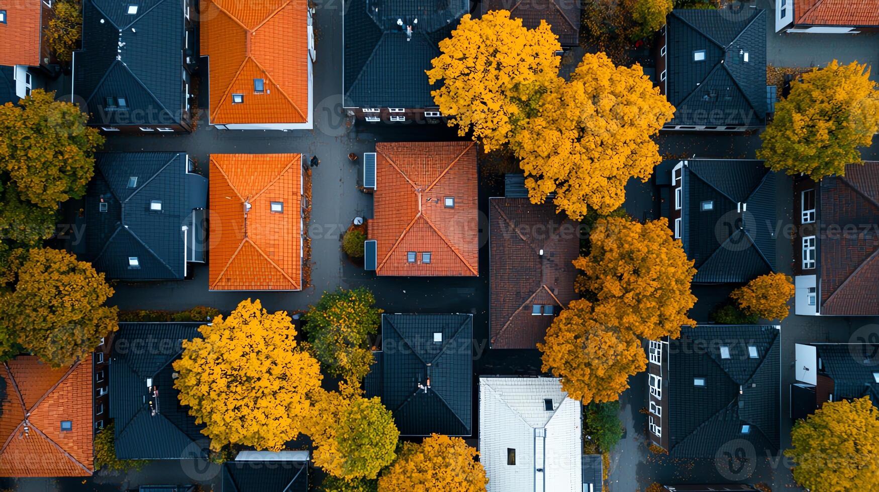 An aerial view of a neighborhood showcasing houses with colorful roofs surrounded by vibrant autumn trees photo