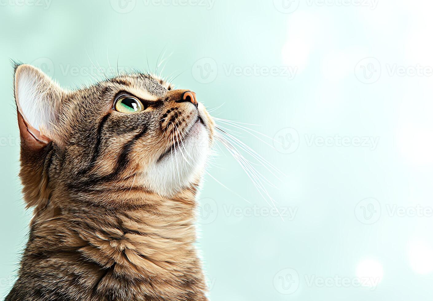 A close-up portrait of a curious tabby cat looking upward with bright green eyes against a soft, blurred background. The image captures the essence of feline curiosity and beauty. photo