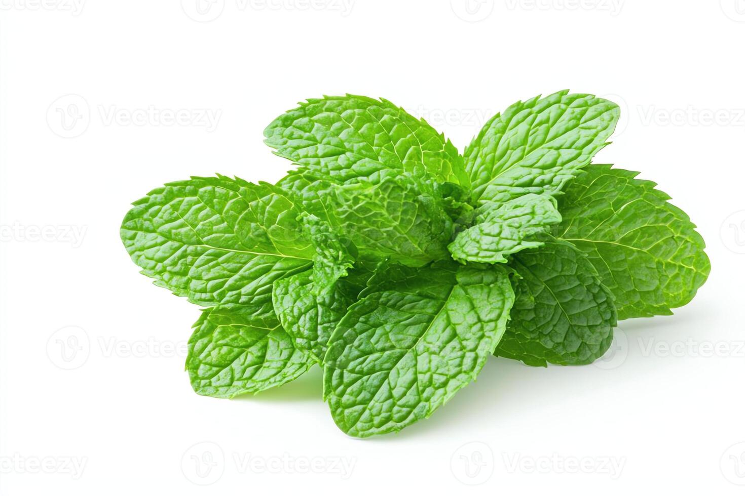 Fresh mint leaves arranged beautifully on a white background. Ideal for culinary, herbal, or health-related imagery, showcasing nature's vibrant greenery and aroma. photo