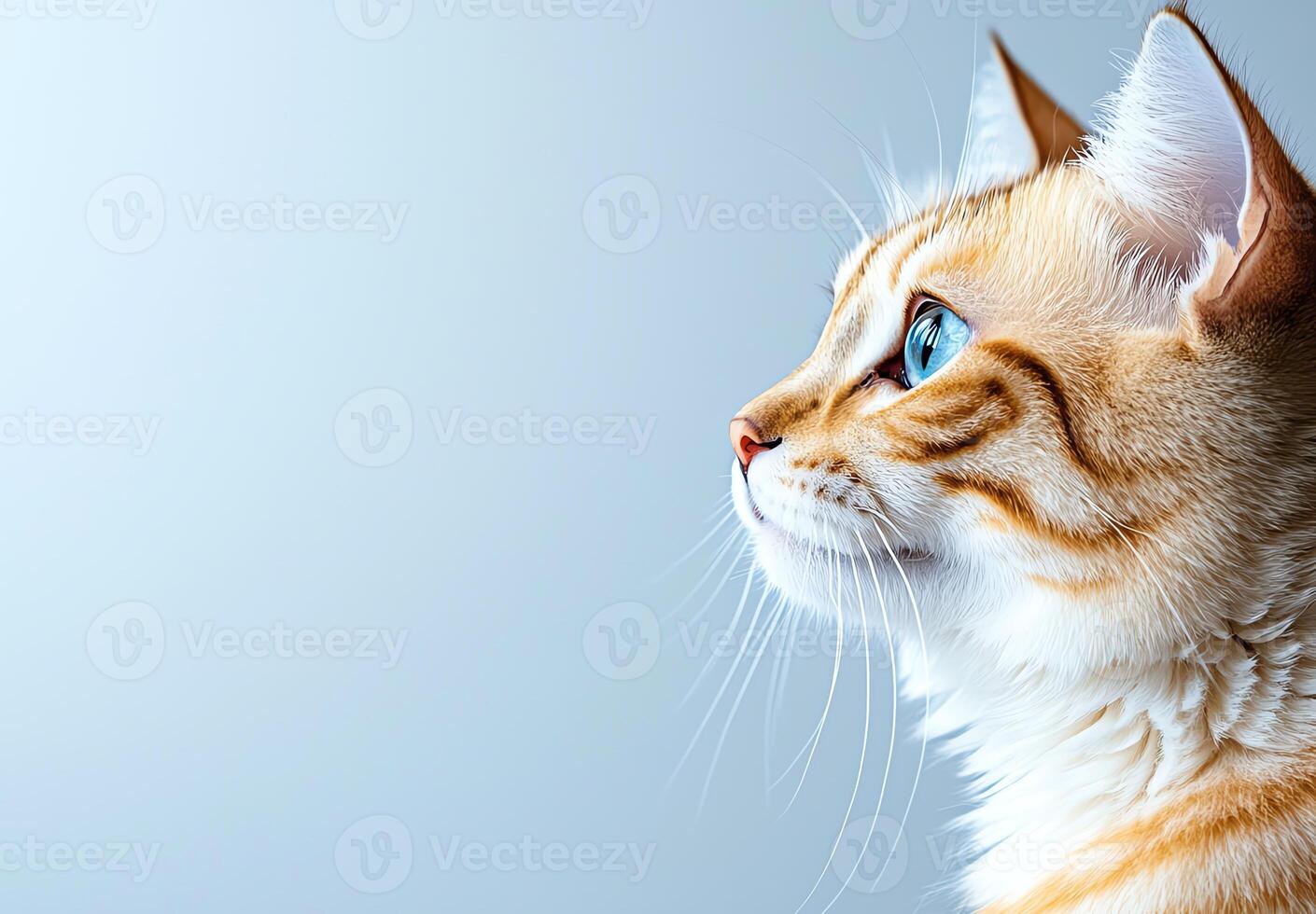 A close-up profile of a beautiful cat with striking blue eyes and a golden coat, displaying its graceful features against a soft, minimalist background. photo