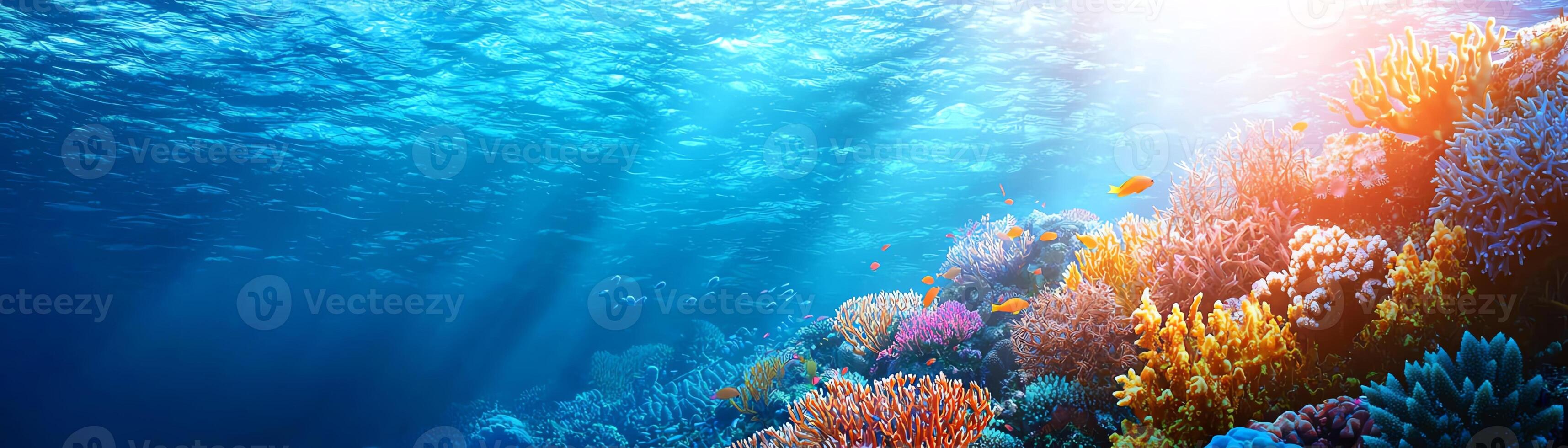 Vibrant underwater scene showcasing coral reefs, diverse marine life, and clear blue water, illustrating the beauty and fragility of ocean ecosystems. photo