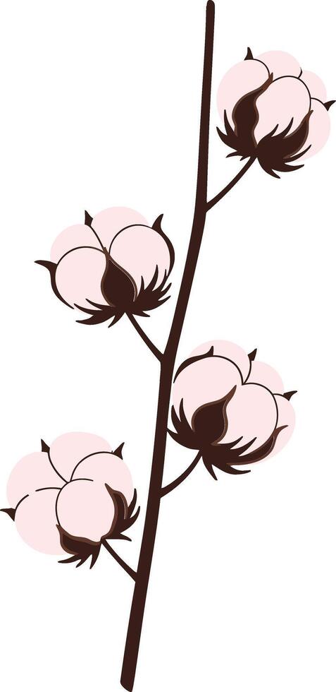Cotton plant branch with fluffy bolls and brown stems in minimalistic flat design illustration vector