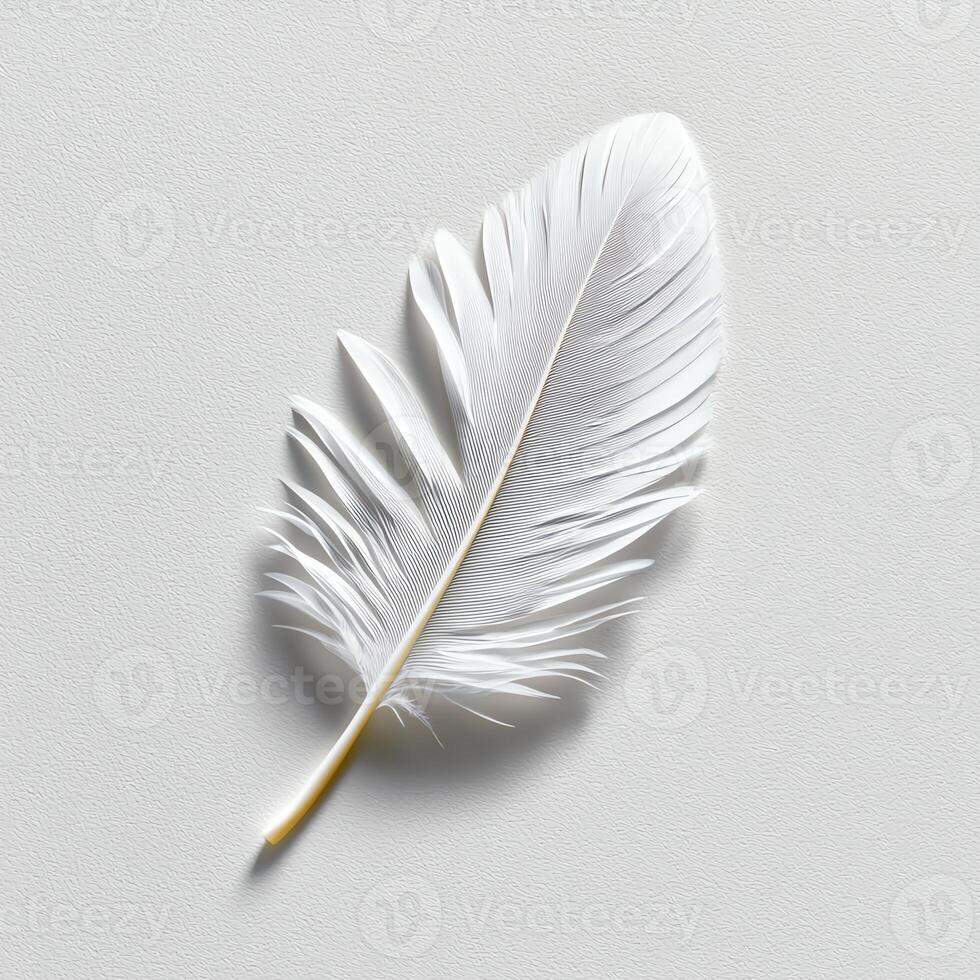 A pristine white feather resting elegantly on a soft surface, showcasing delicate details and textures, perfect for adding a touch of nature's beauty to any artistic collection. photo