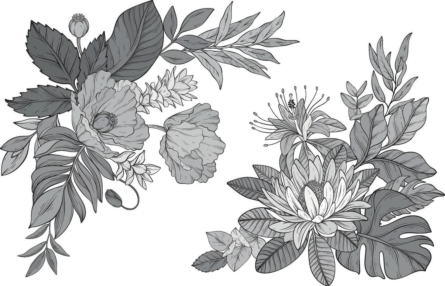 Floral set of monochrome flowers arranged with leaves vector