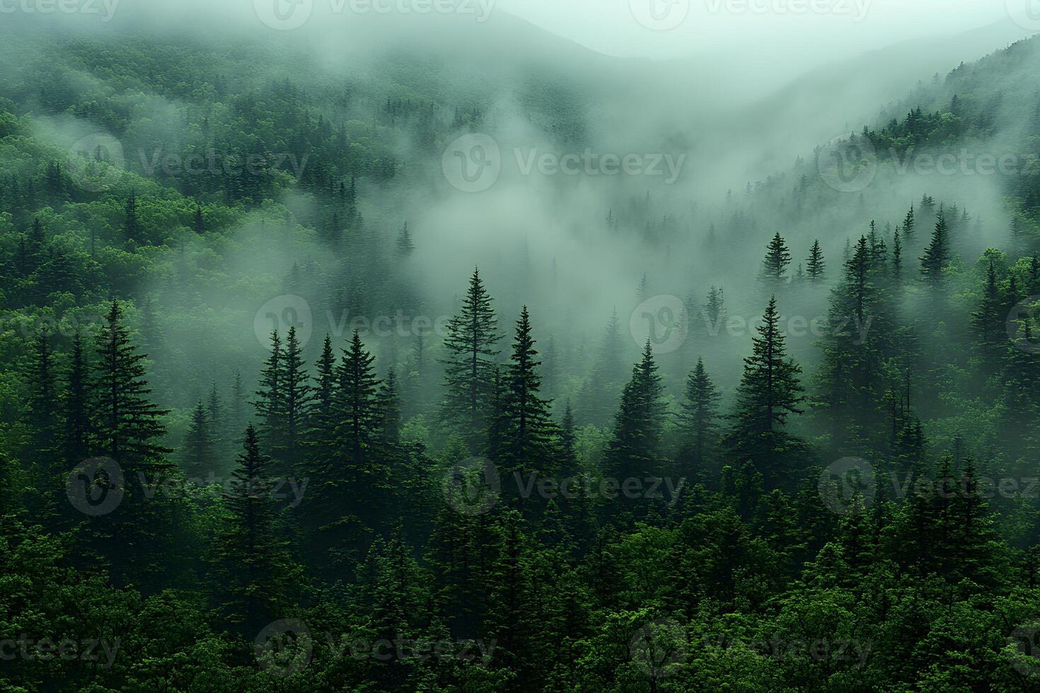 Misty Forest Landscape with Lush Greenery and Serene Mountain Views photo