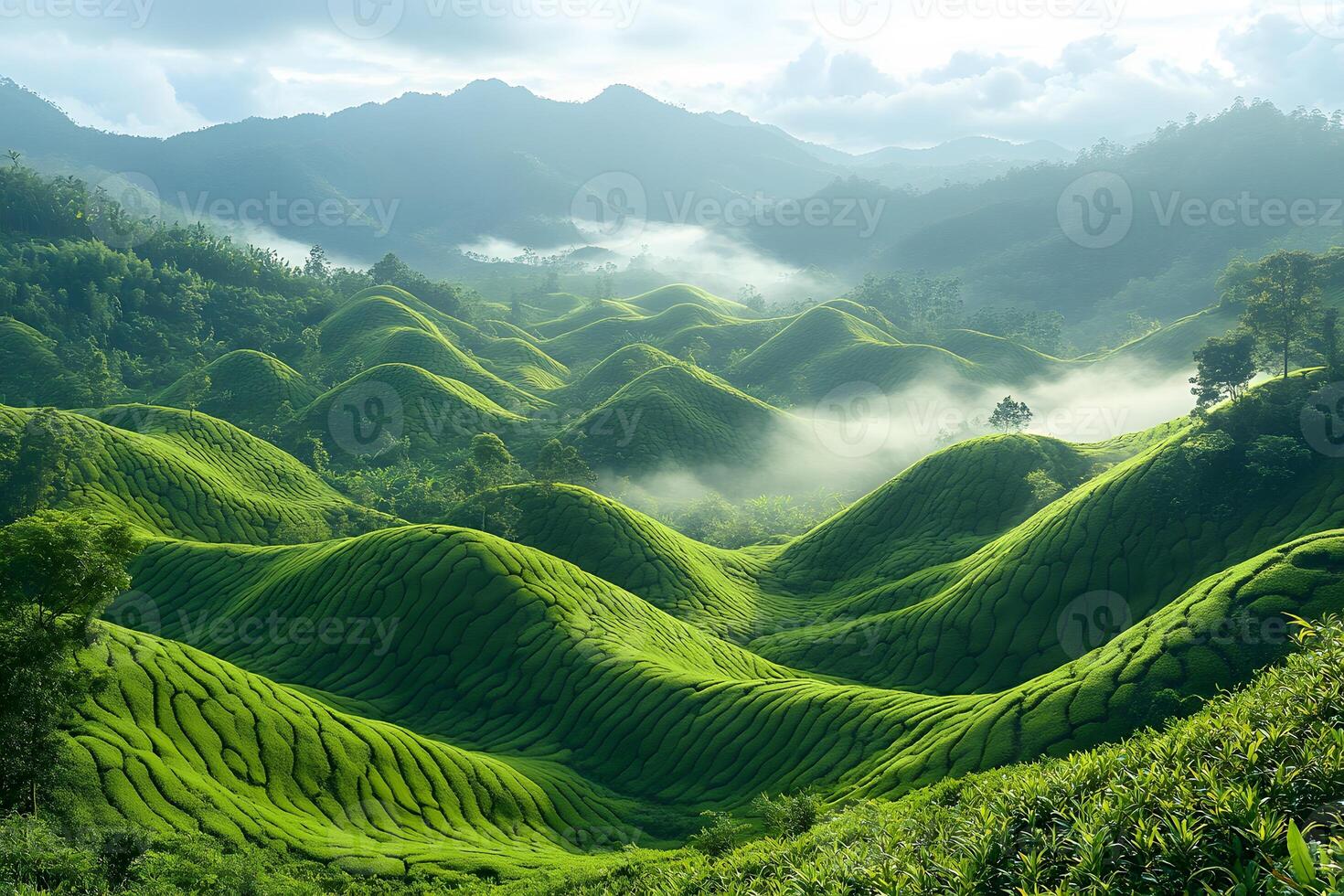 Lush Green Hills and Misty Valleys in Serene Mountain Landscape photo