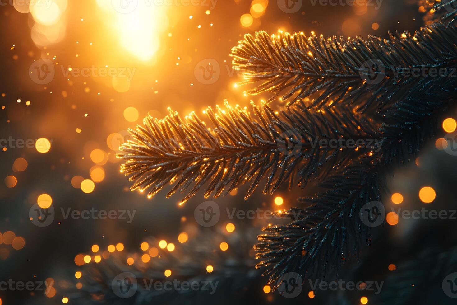Golden Holiday Glow Festive Evergreen Branch with Warm Sunlight Bokeh photo