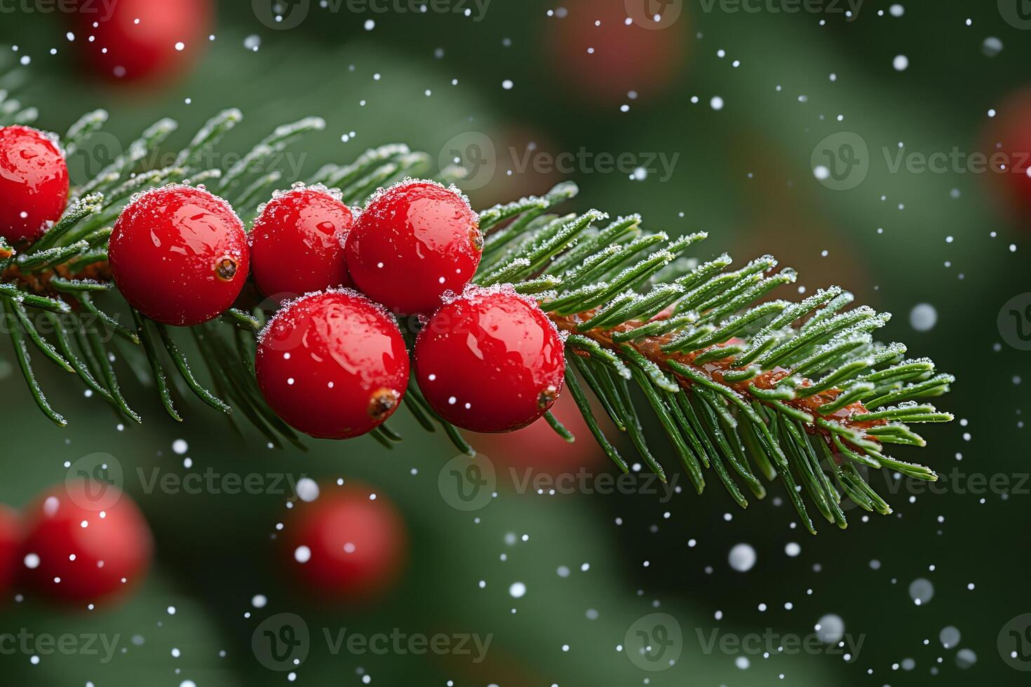 Festive Winter Holiday Scene with Snow-Dusted Red Berries on Evergreen Branch photo