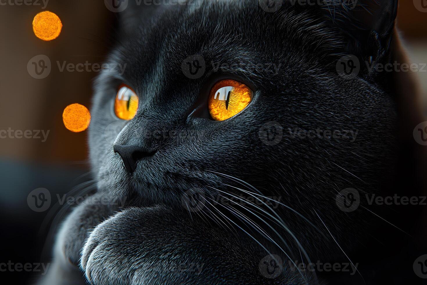 Thoughtful Black Cat with Striking Amber Eyes in Dreamy Light photo