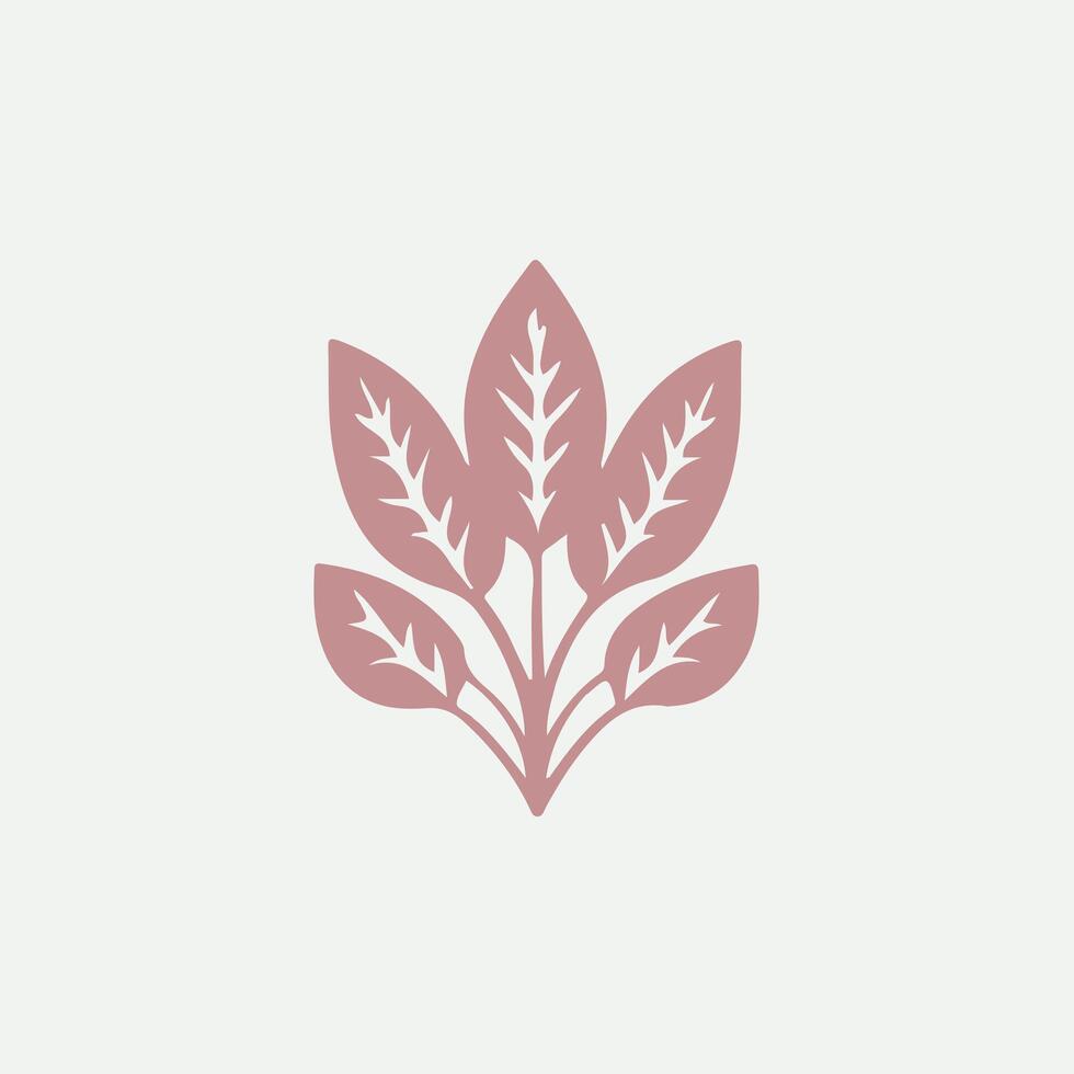 Curly Kale vegetable logo vector