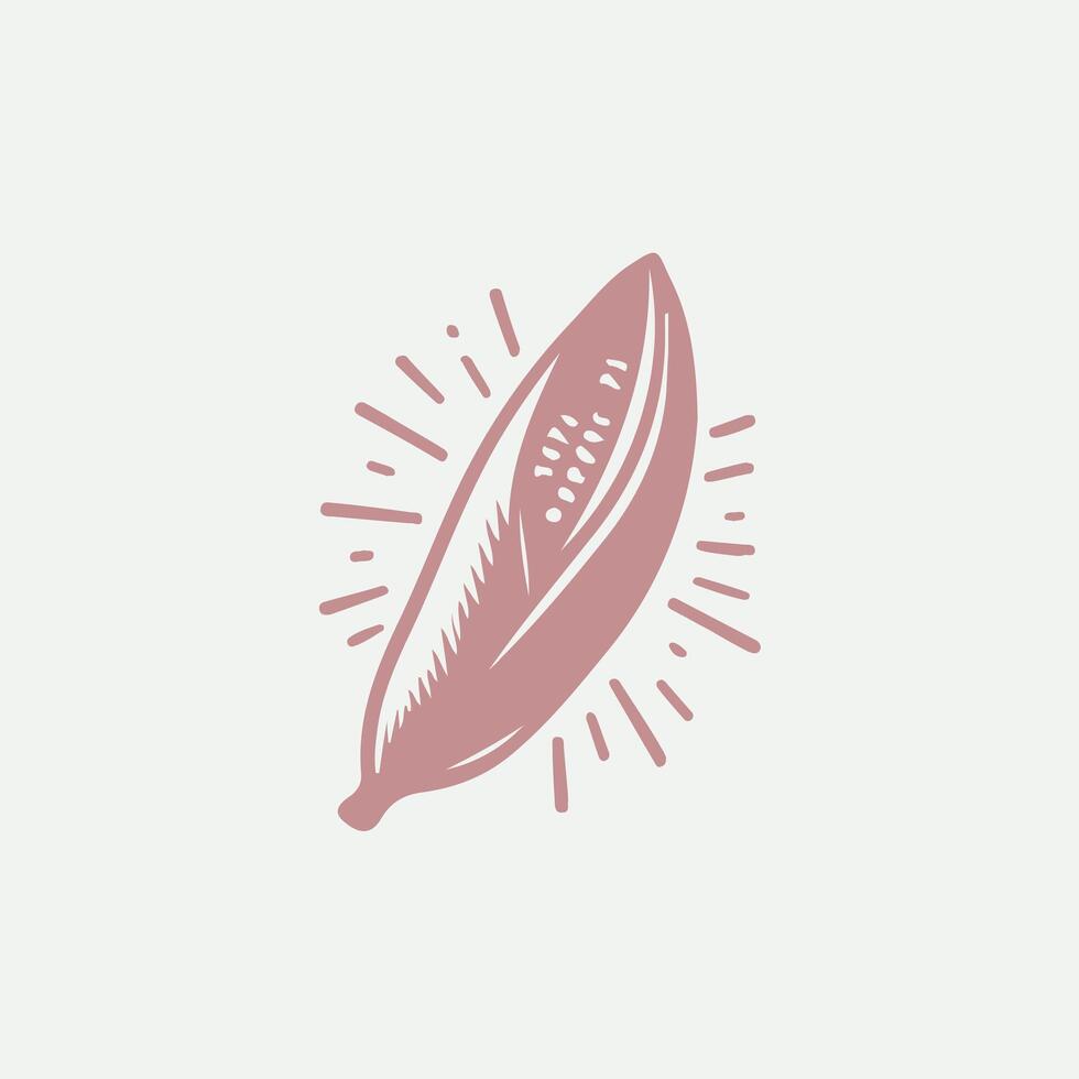 Cilantro vegetable logo vector