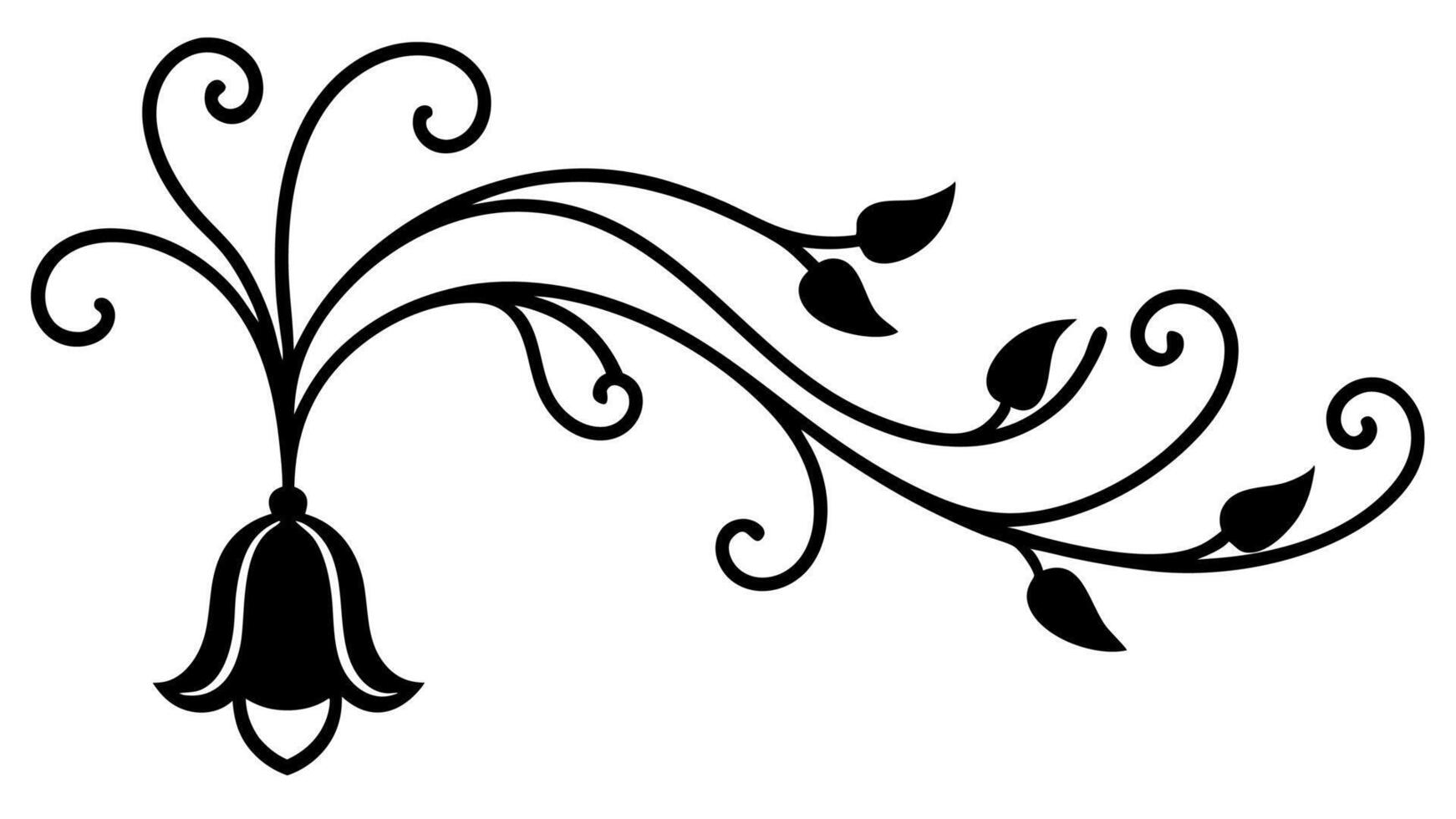 Elegant Floral Ornament Underline Design Decorative and Frames vector