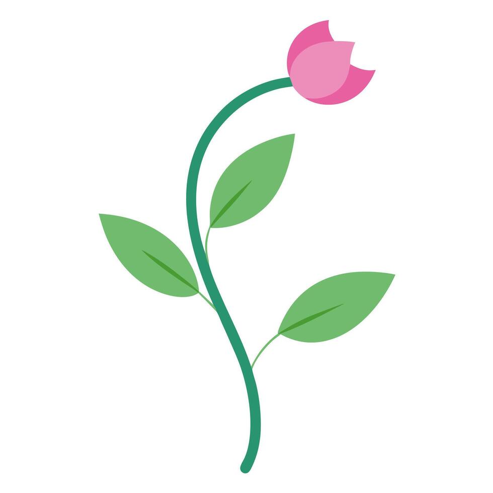 Intricate Flower Aesthetic and Artistic Creations vector