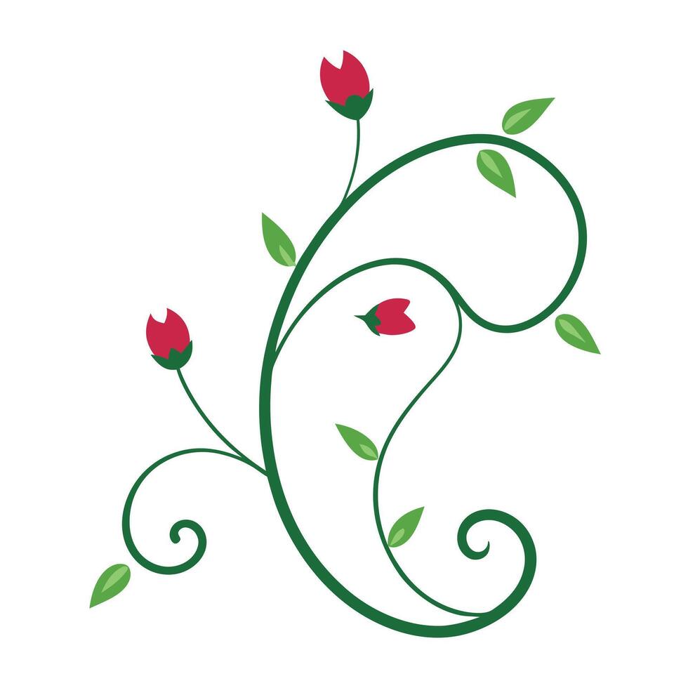 Elegant Floral Flower Ornament Design Creative Decorations Artistic Project vector