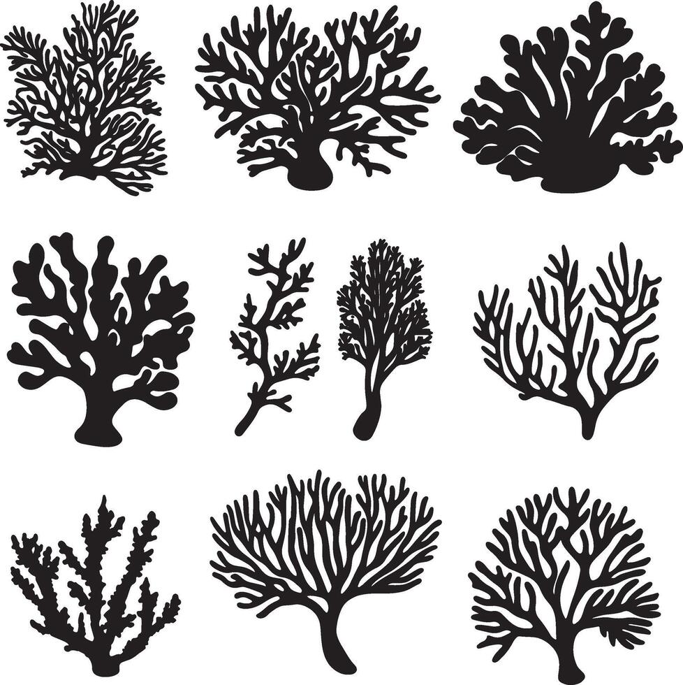 black silhouettes of corals and other sea plants vector