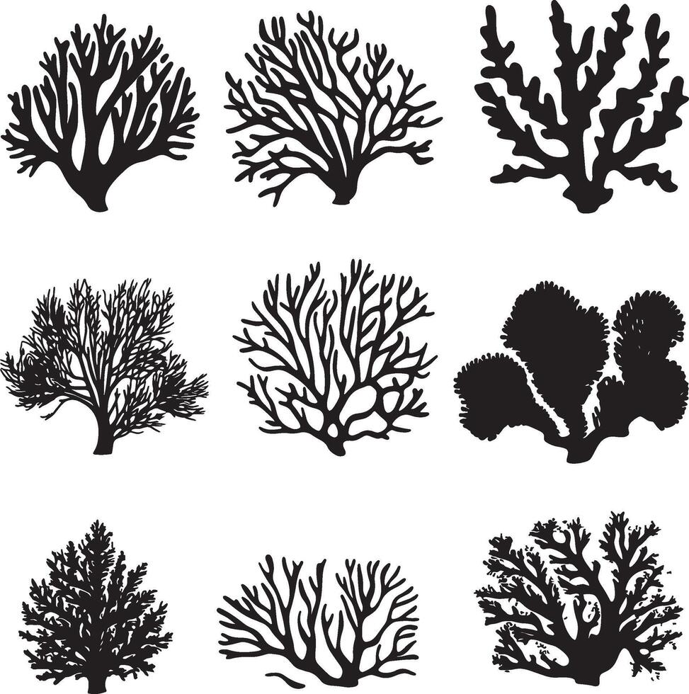 black silhouettes of various corals and plants vector