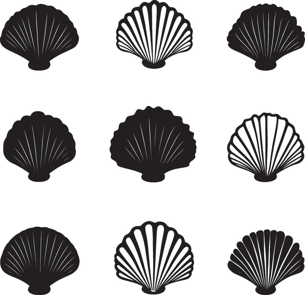 sea shell icon set, black and white illustration vector