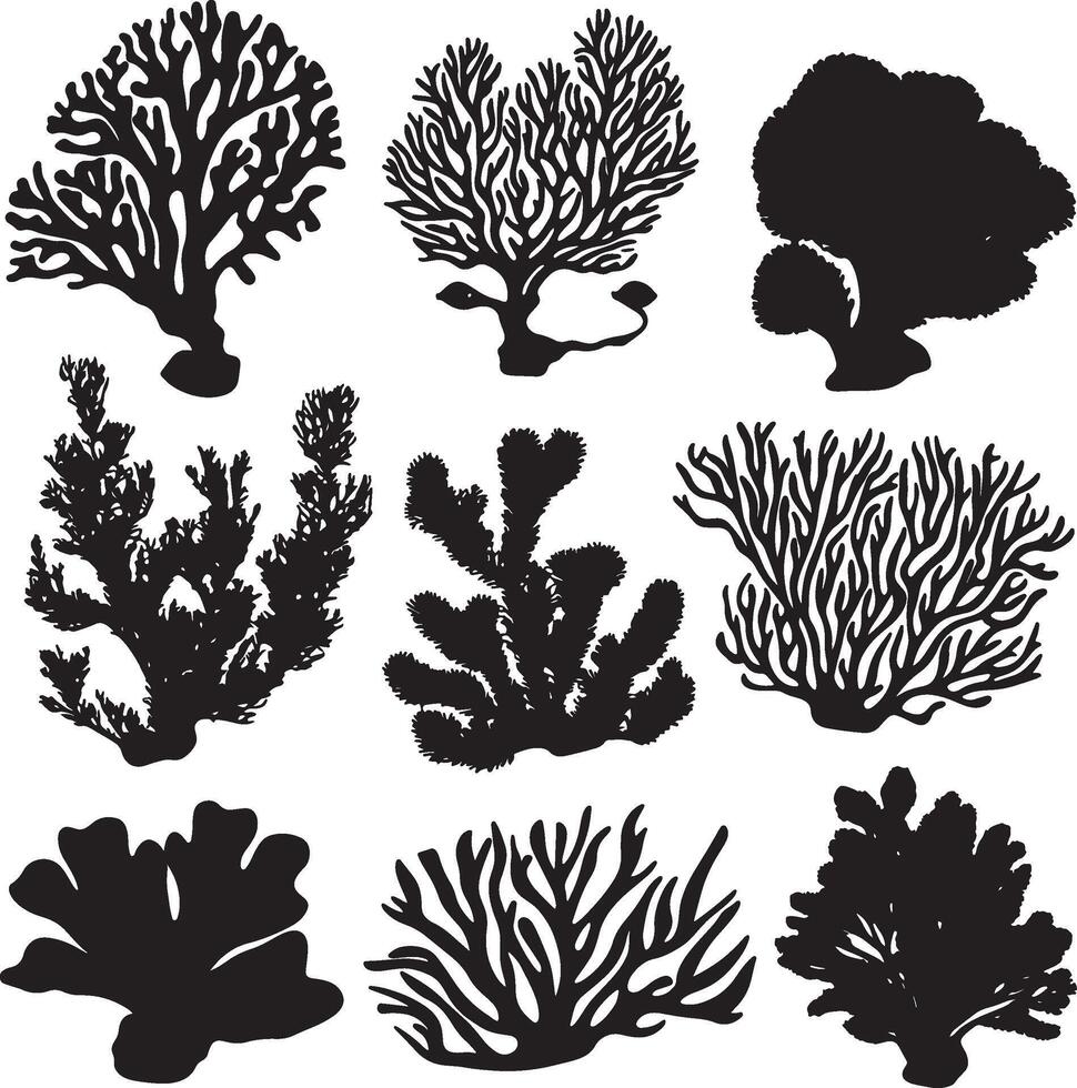 A series of silhouettes representing various corals and sea plants in black. vector
