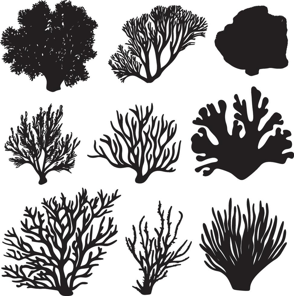 black silhouettes of various corals and sea plants vector