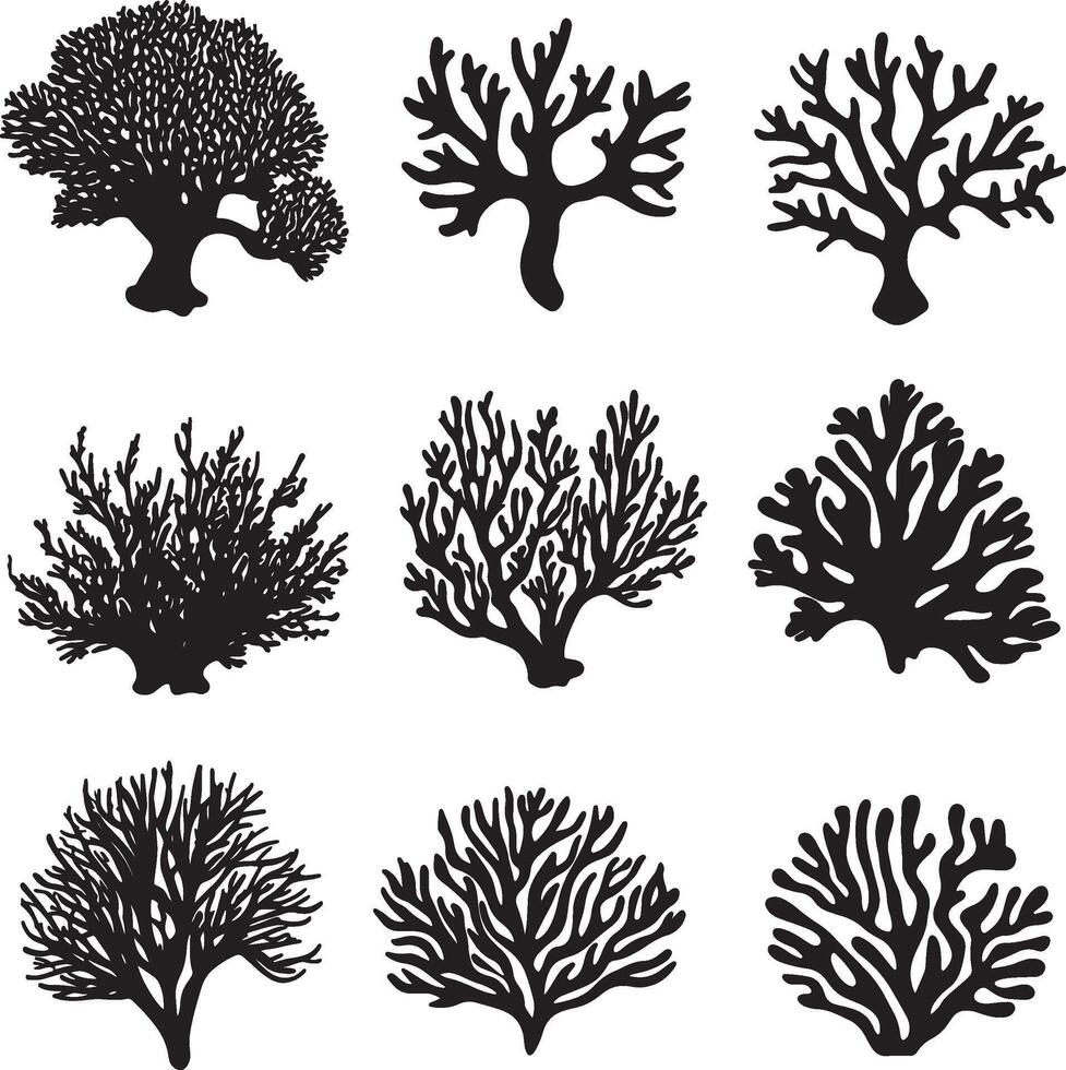 Set of coral silhouettes in a clean and simple black illustration vector