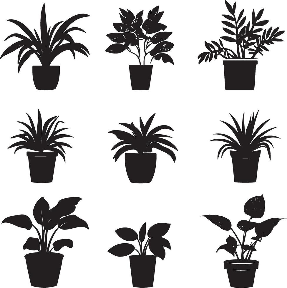 Black silhouettes of house plants set against a white background. vector