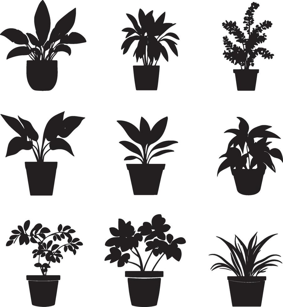 Monochrome silhouettes of various house plants displayed on a white background. vector