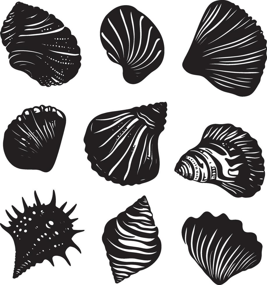 a set of black and white shells on a white background vector