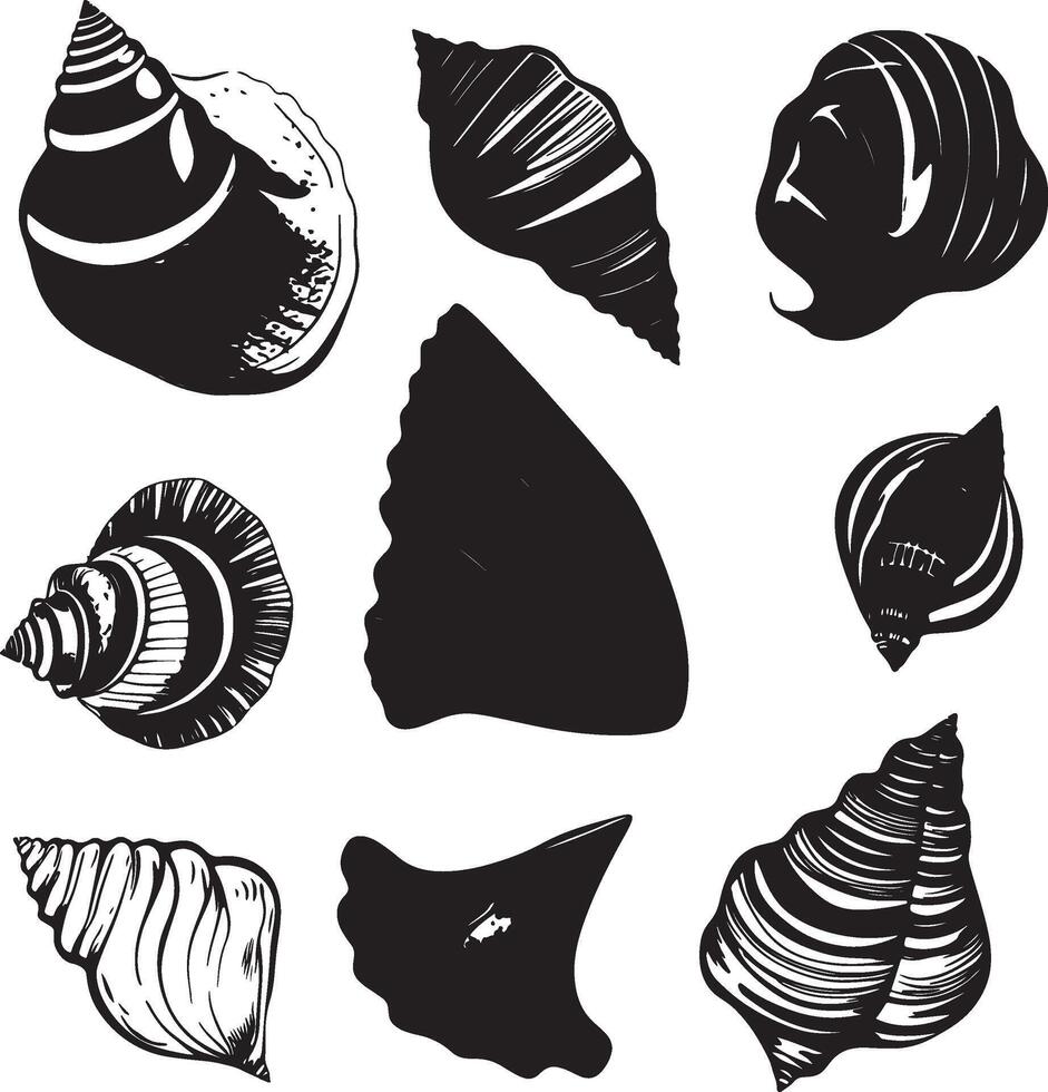 a set of different shells, including a starfish, starfish, and a starfish vector