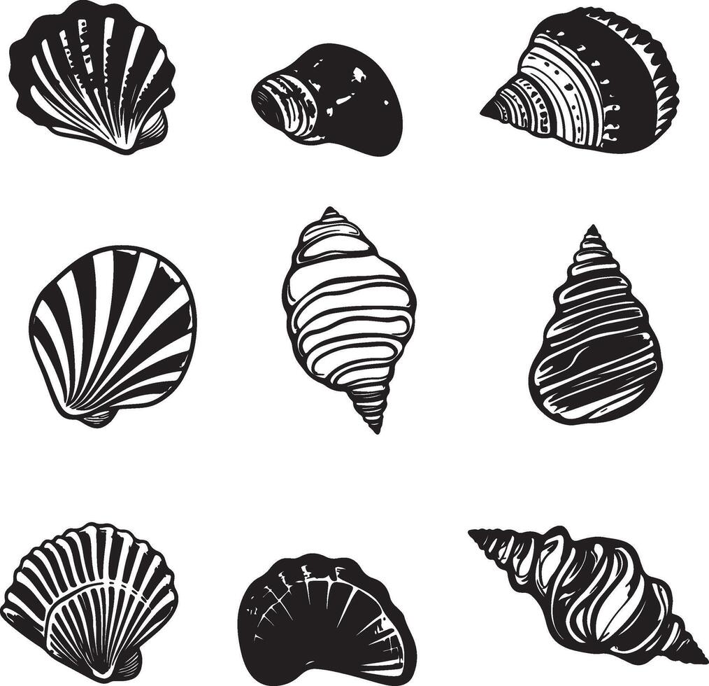 a set of different shells and shells vector