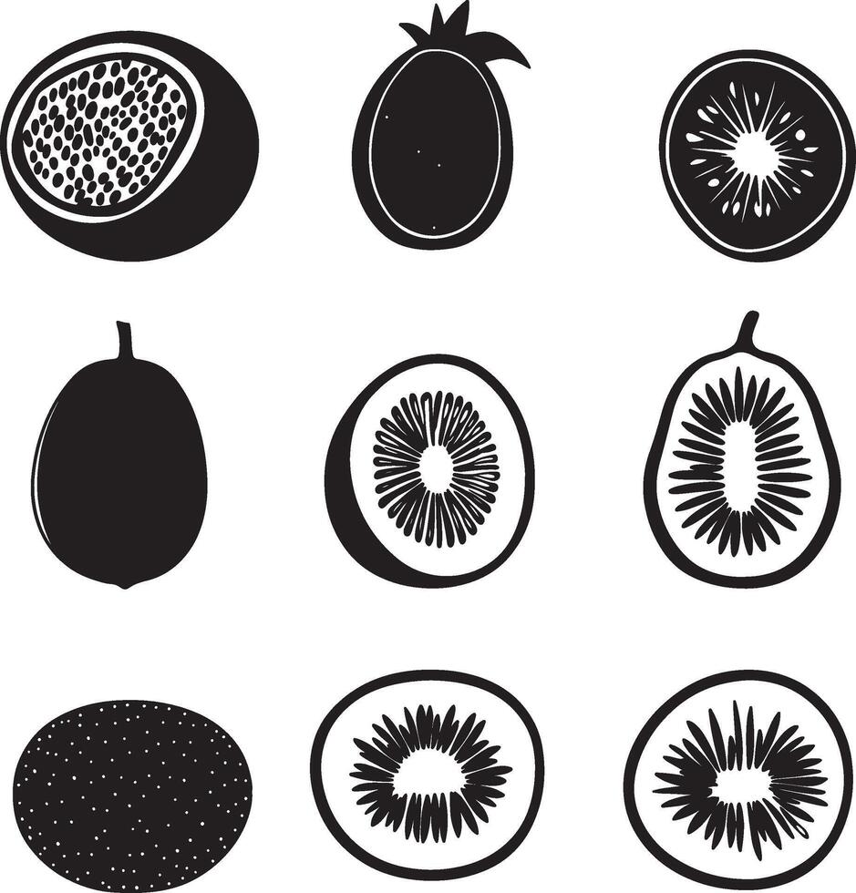 kiwi fruit set of black and white illustration vector